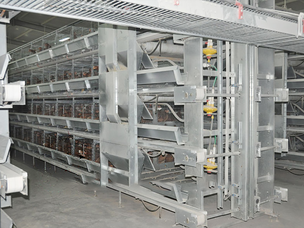 Savez-vous que ces cages à poules en couches en forme de H constituent une installation spécialisée d'élevage de volaille visant à créer un habitat régulé pour les oiseaux