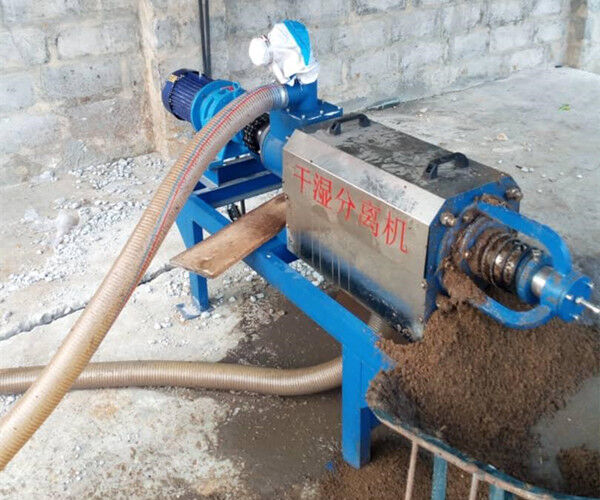Recyclage du fumier de volaille avec une machine à sécher le fumier