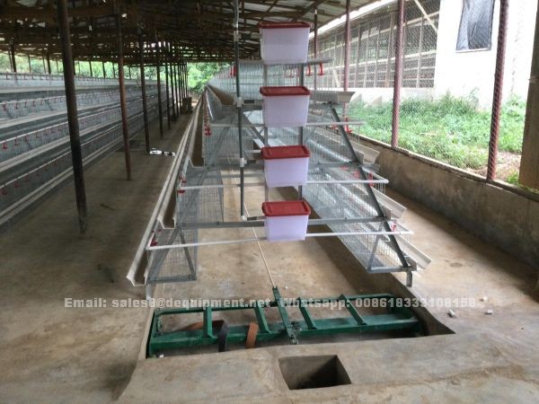 Do you know the battery cage for layers in Nigeria