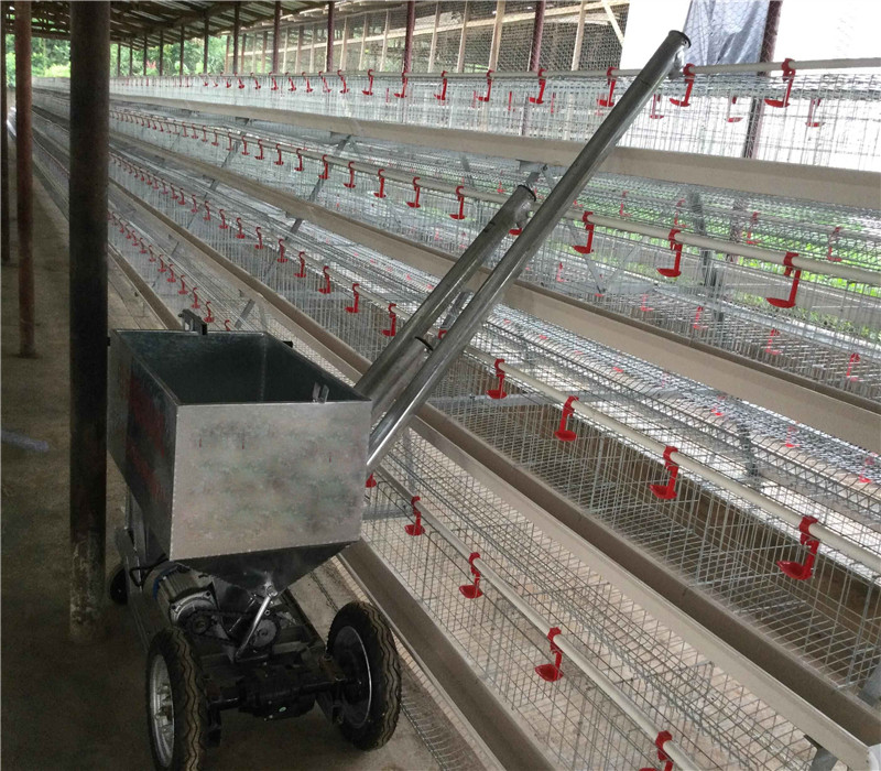 Combien coûte la meilleure qualité de cage pour poules pondeuses et l'équipement pour installer une ferme de 10 000 ou 20 000 poules