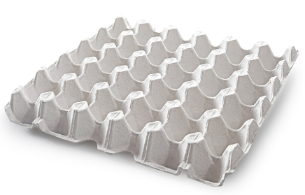 Plateau à œufs en plastique et en pulpe