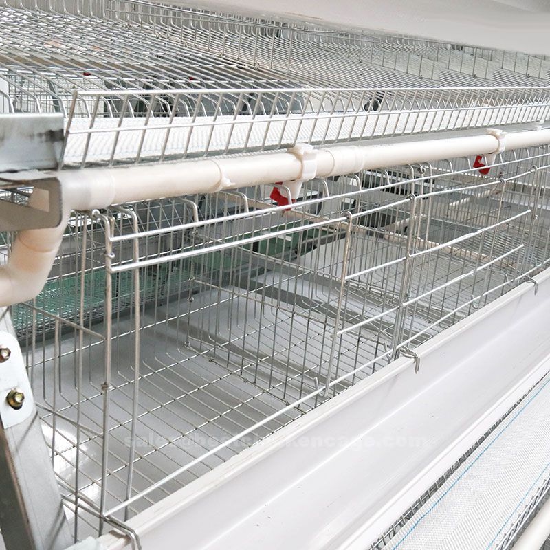 How automatic layer cage working