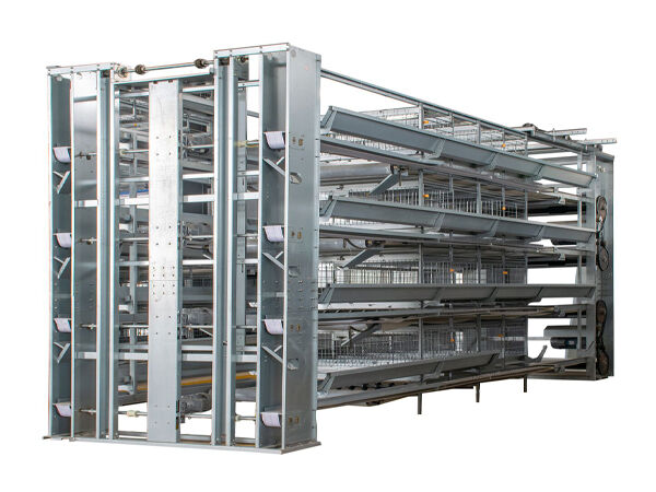 Savez-vous que les systèmes avancés de cages pour poulettes utilisés dans les fermes deviennent populaires parmi les agriculteurs progressistes