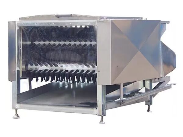Machine à déplumer courante