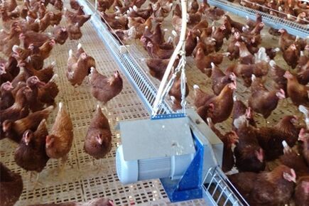 Our company finished breeder project of breeder fl