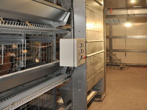Système d'alimentation en cage