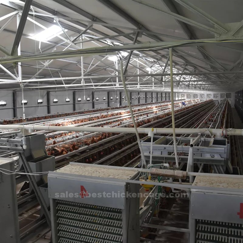 What does a battery cage system do