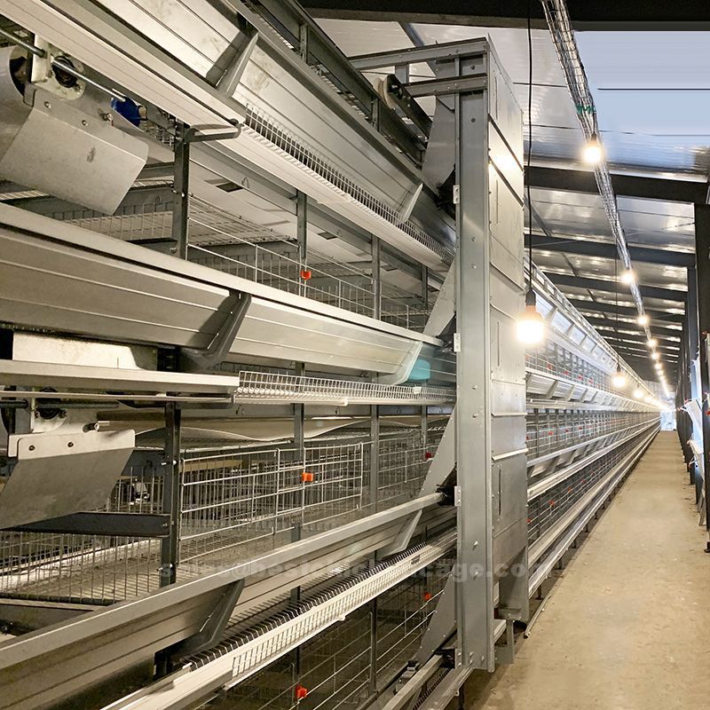 Components of automatic battery cage