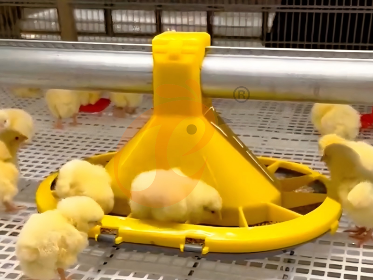 battery cage (1)