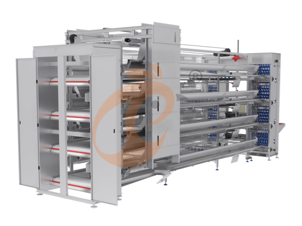 قفص البطارية مقابل المدى الحر: أيهما يفوز في الإنتاجية؟