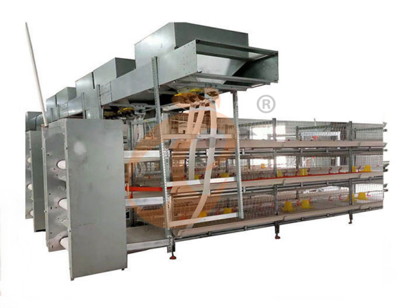 chicken battery cage poultry farm 1 (6)