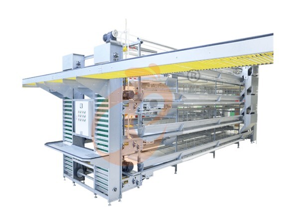 chicken battery cage poultry farm 1 (9)