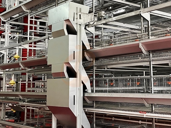 Feed System1 (3)