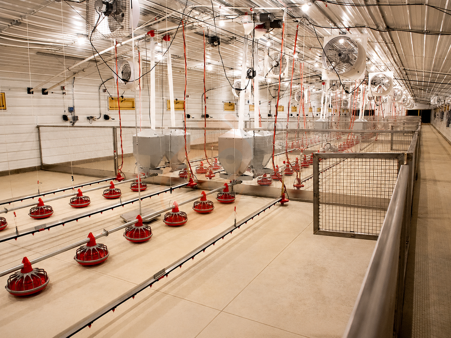 Broiler Equipment2 (1)