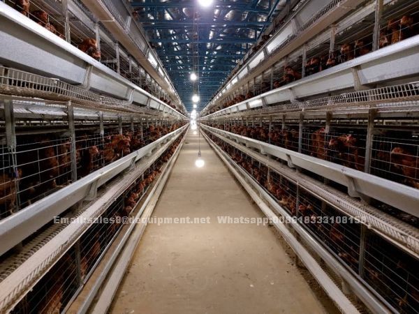 Why choose the automatic system for large farm in Nigeria