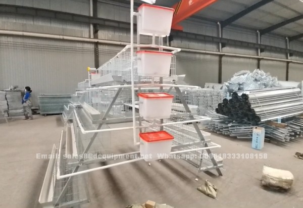 Do you know the battery cage for layers in Nigeria