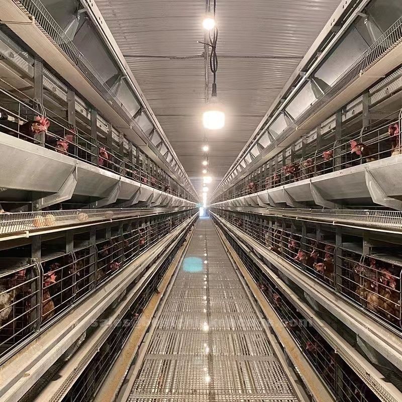 Knowing the different types of cages and their benefits