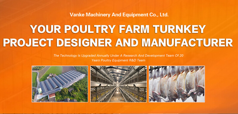 The helpful knowledge of the 96-bird battery cage system for layers makes it easier for farmers to care for the birds
