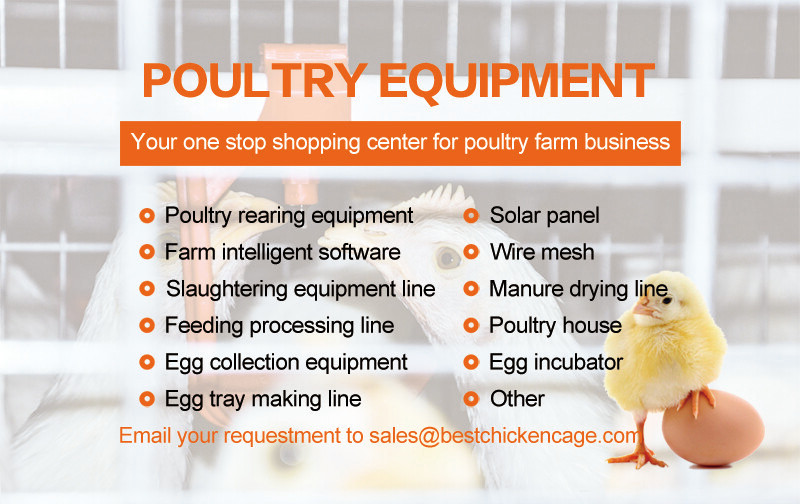 The helpful knowledge of the 96-bird battery cage system for layers makes it easier for farmers to care for the birds