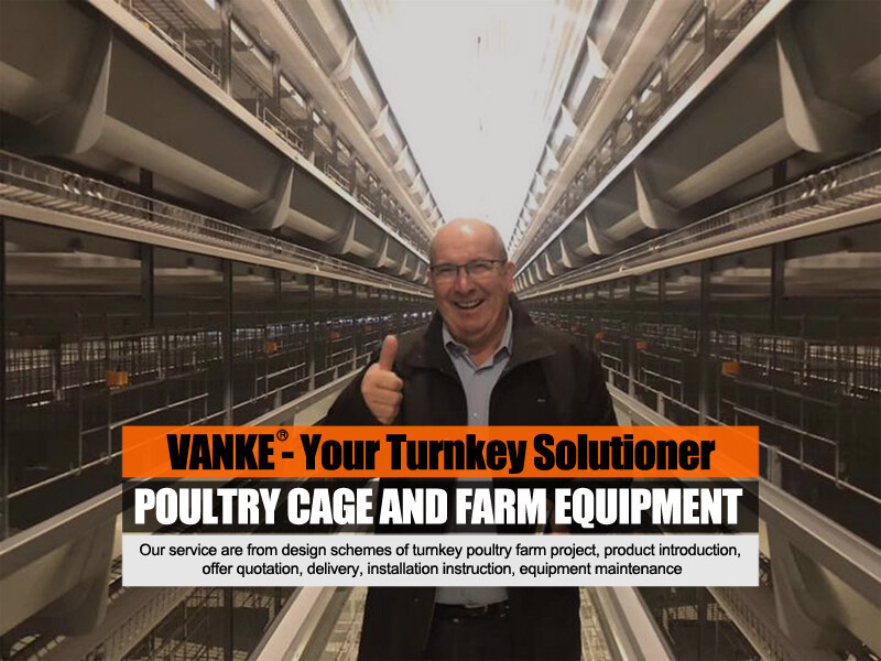 The helpful knowledge of the 96-bird battery cage system for layers makes it easier for farmers to care for the birds