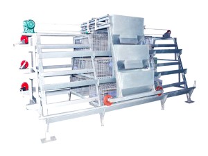broiler poultry battery cage price (1).png