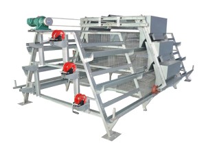 poultry battery cage price (3).png