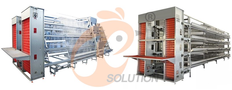1746953843780114722925506560 poultry battery cage (4).png