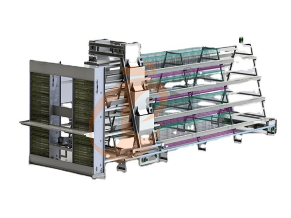 chicken battery cage poultry farm 1 (21)