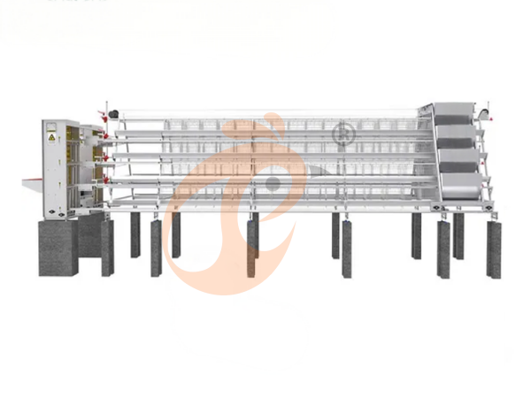 chicken battery cage poultry farm 1 (9)