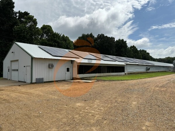 layer poultry farm 1 (1)(1)