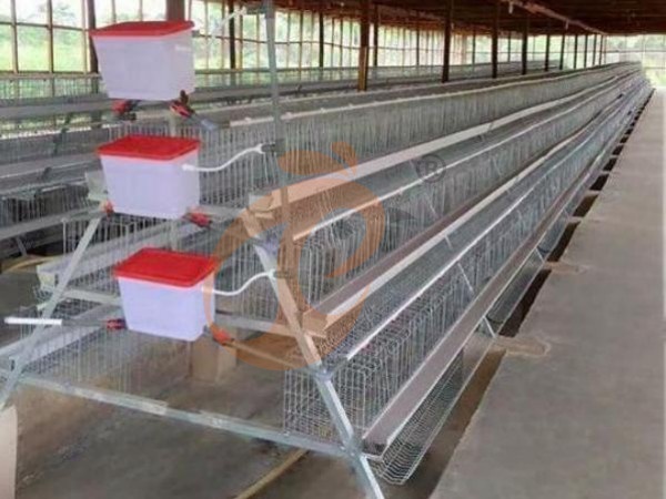 battery cage price for layer chicken in poultry farm (96)