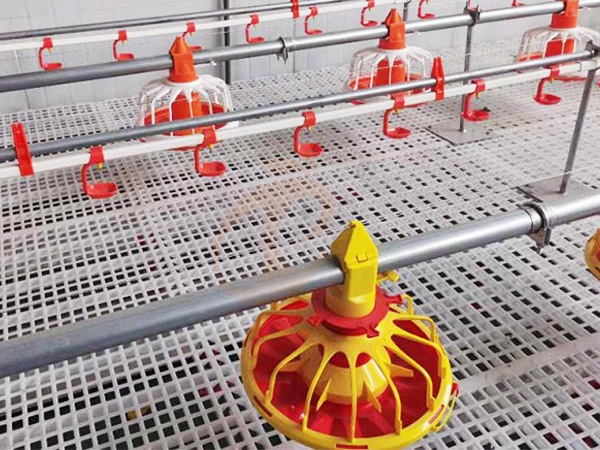 Floor Rearing Poultry System1 (1)