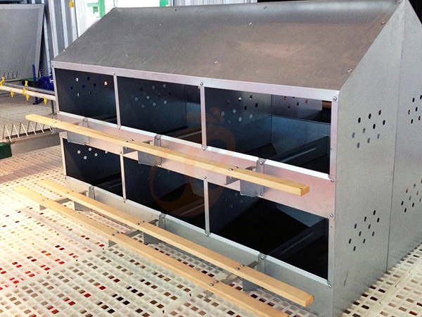 Floor Rearing Poultry System1 (8)