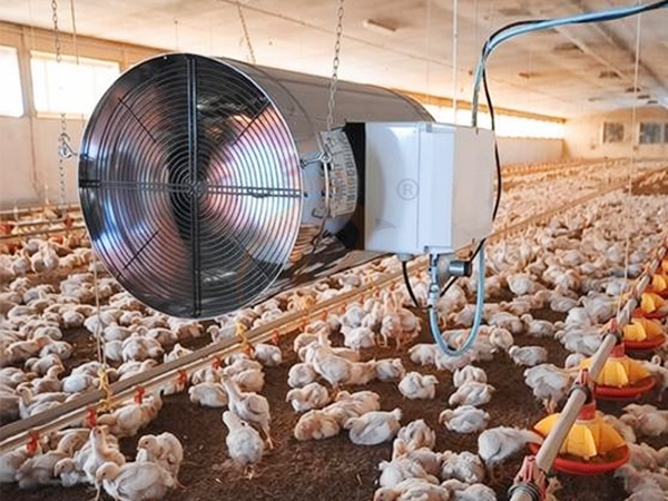 Problemas comunes de ventilación y manejo del estiércol en un sistema de jaulas para aves de corral