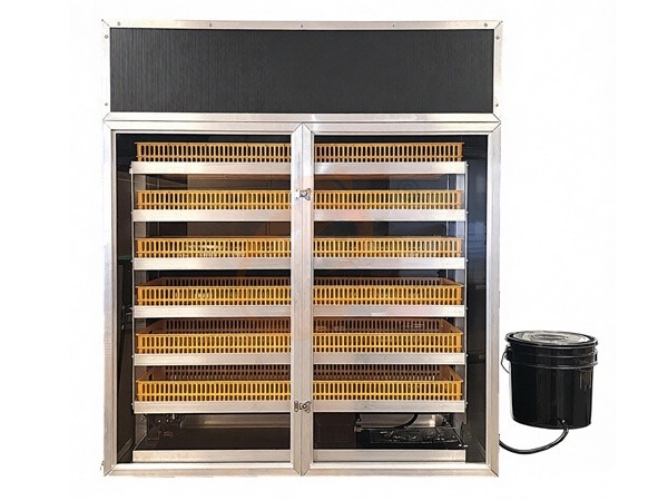 Incubator1 (3)