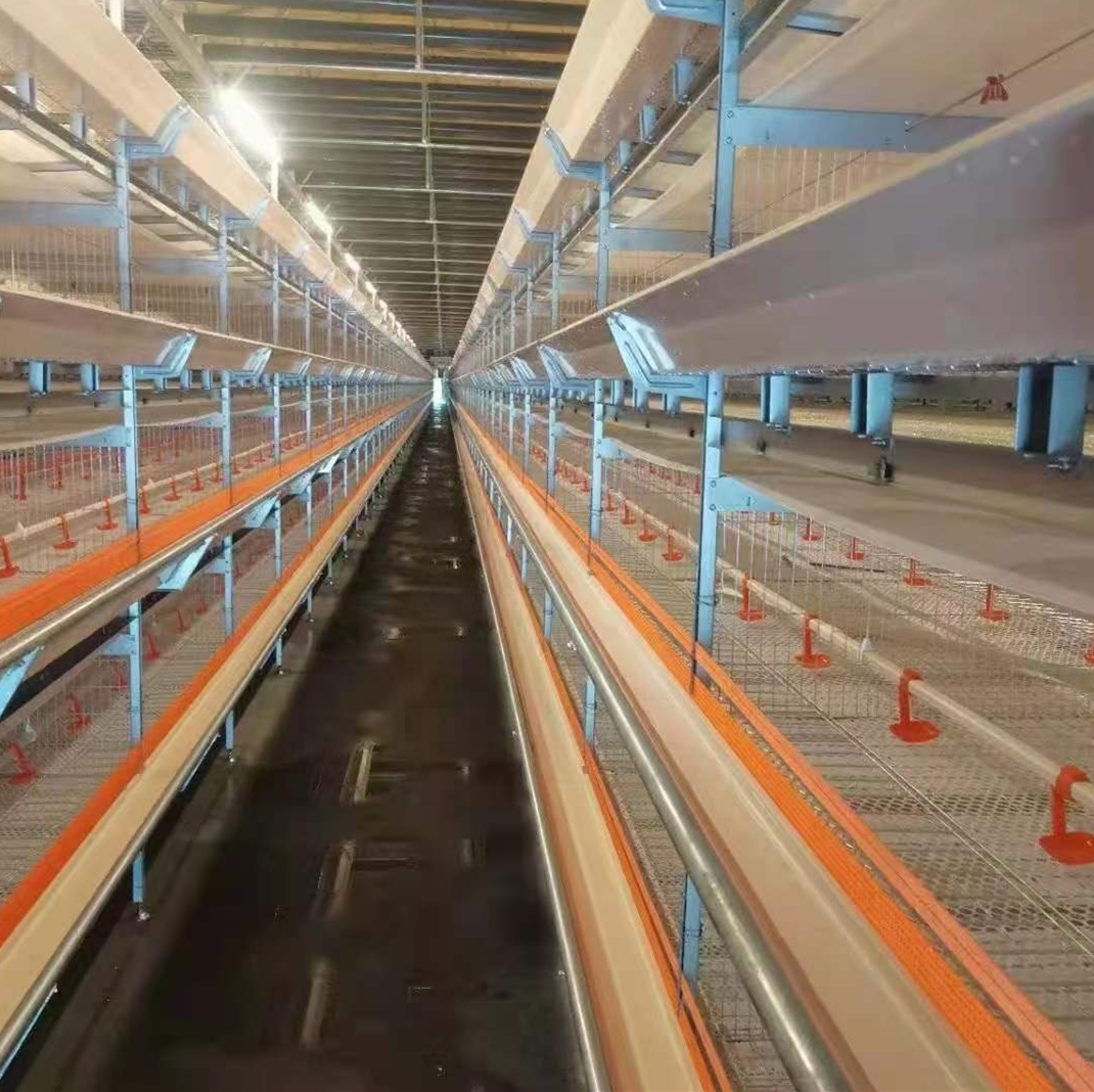 Jaula de gallinas ponedoras automática tipo H para granjas avícolas en Nigeria en venta