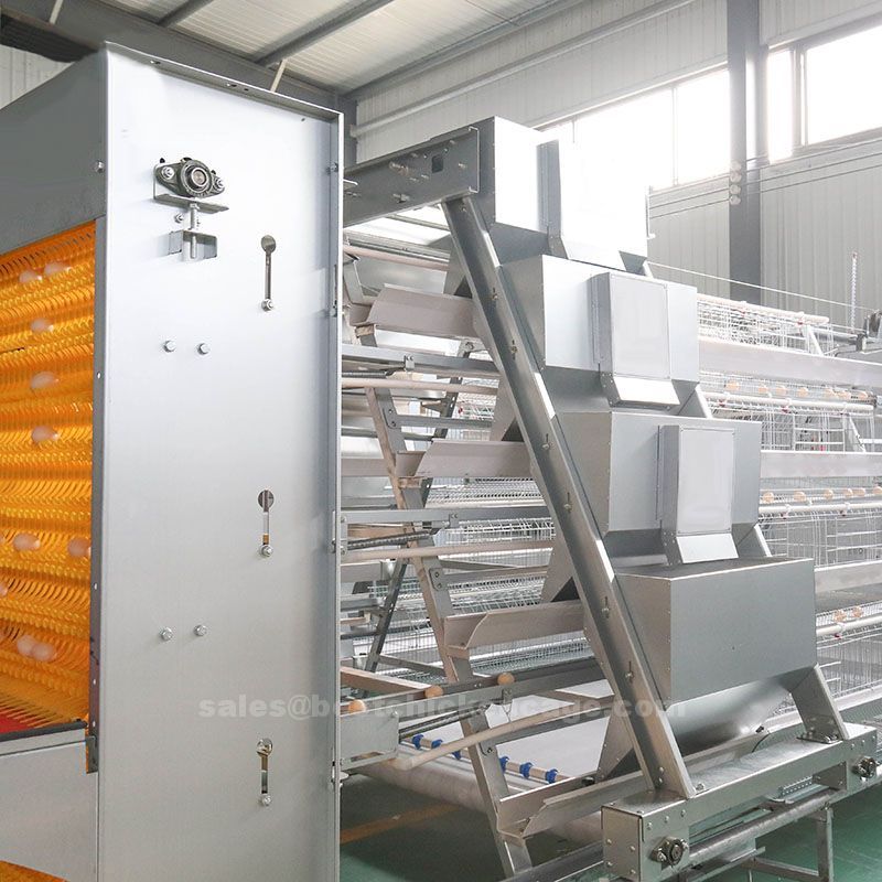 The helpful knowledge of the battery cage system