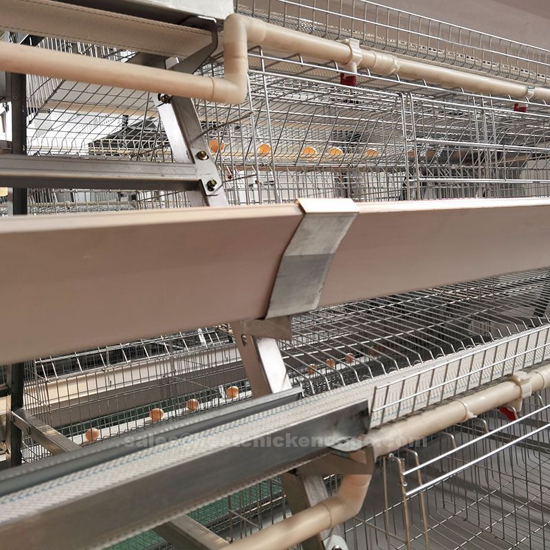 automatic layer cage1.jpg Do you know the automatic layer cage system in poultry farm