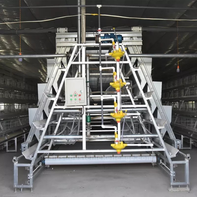 鸡笼或蛋鸡笼A (2).png Standard accessories of A frame layer poultry cage system