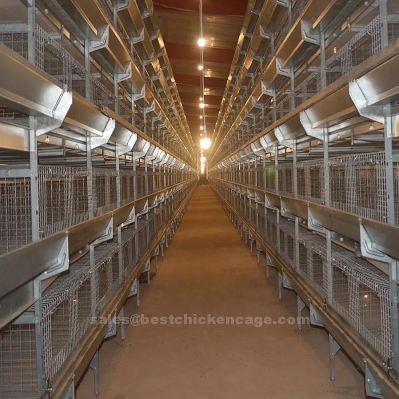 What is 10 advantages of raising chickens in battery cages features and features