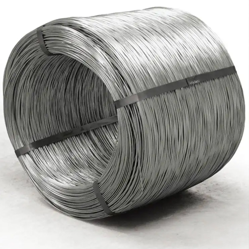 310 Stainless Steel Wire