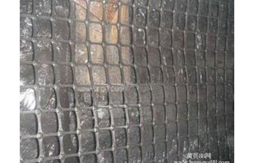 Plastic Rib Protection Net for Coal Mine Underground