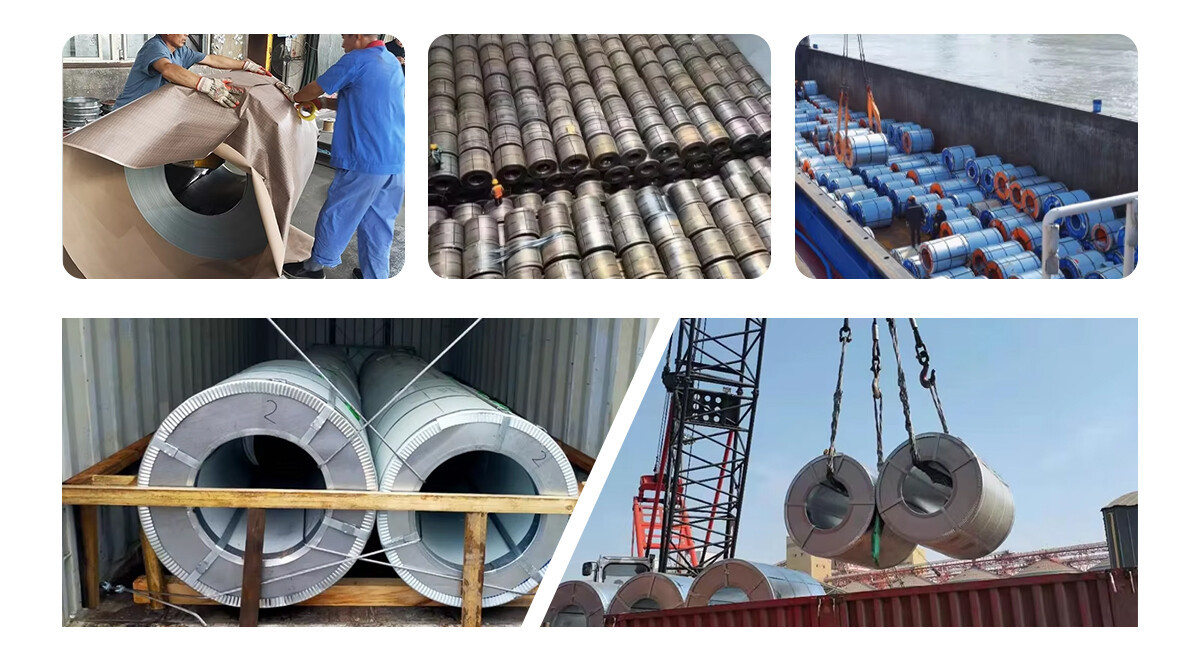 Hot Selling High Specification Prepainted Galvanized Steel PPGI PPGL Coil