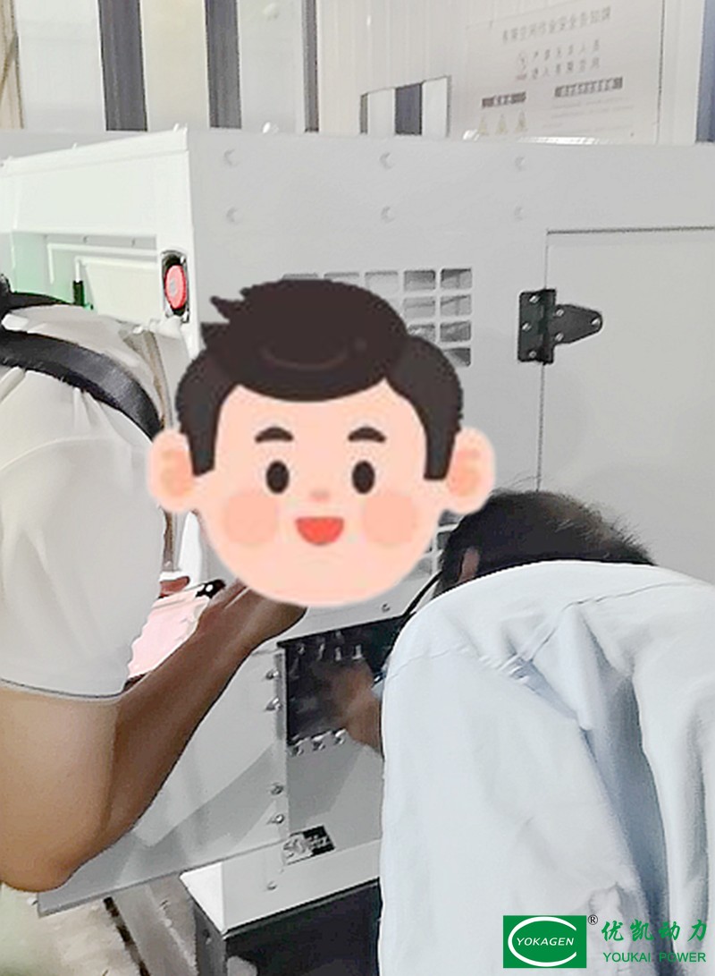 Client Conducts On‑Site Generator Inspection at Our Factory