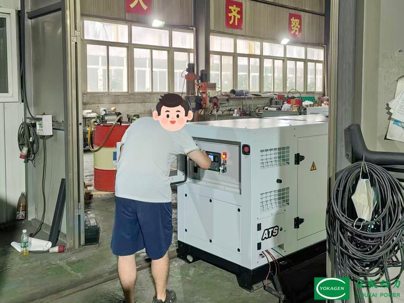 Client Conducts On‑Site Generator Inspection at Our Factory