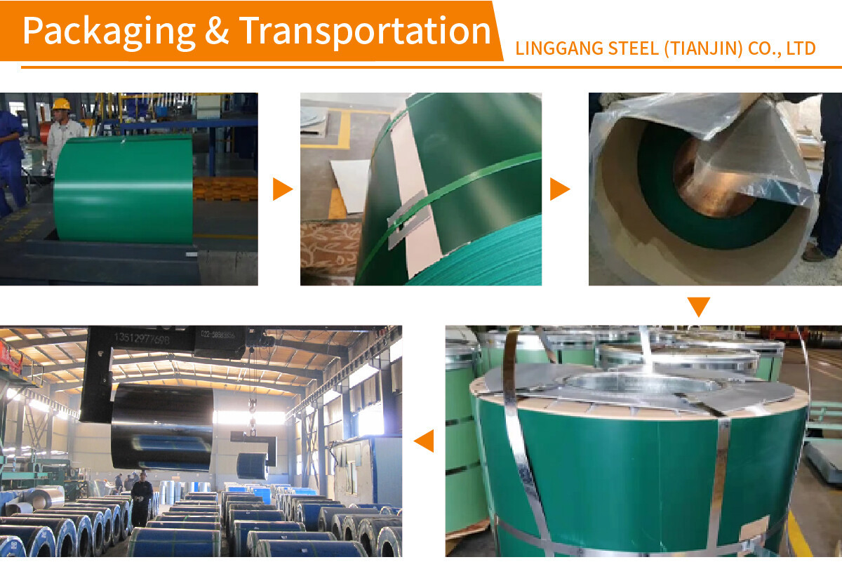 Double Coated Color Painted Metal Roll Paint Galvanized Zinc Coating Ppgi Ppgl Steel Coil