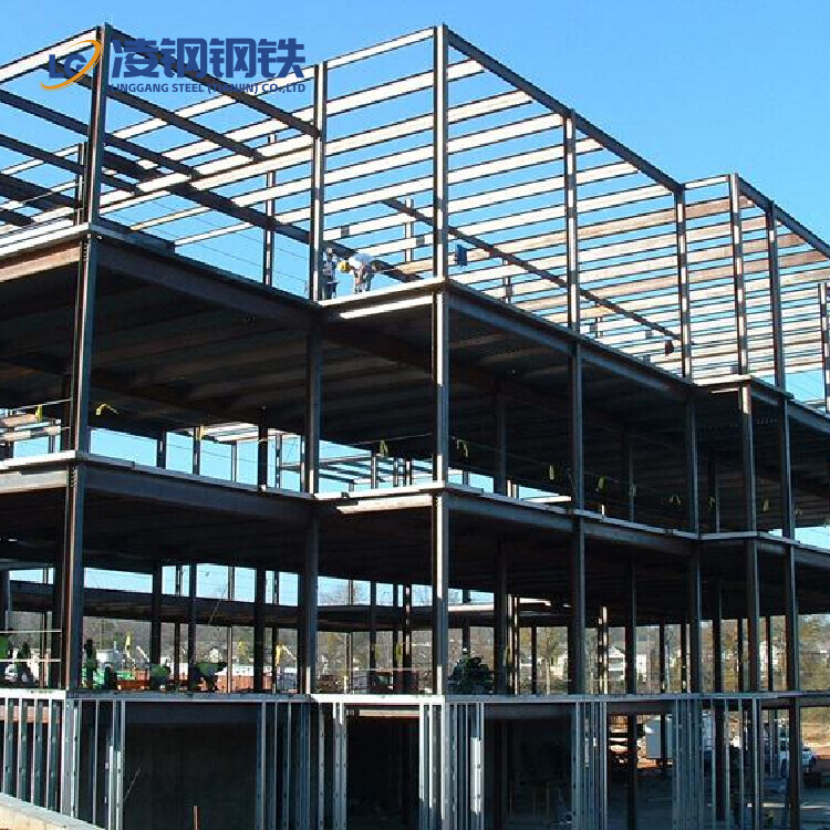 China Metal Construction Projects Steel Structures Professional Industrial Steel Structure Building