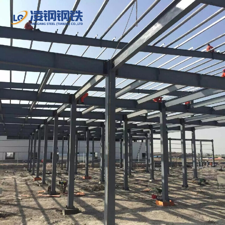China Metal Construction Projects Steel Structures Professional Industrial Steel Structure Building