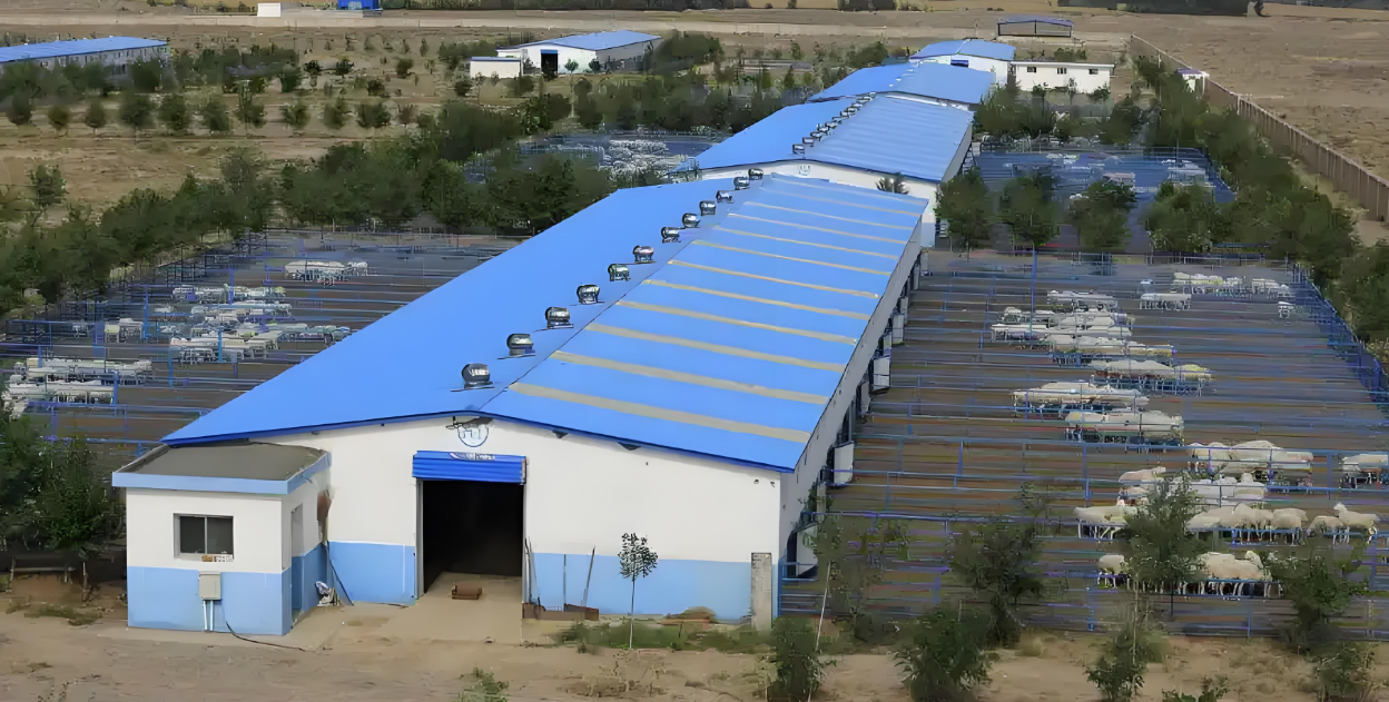 Prefab Steel Livestock Barns for Cattle, Sheep & Pigs-Strong, Ventilated & Easy to Assemble