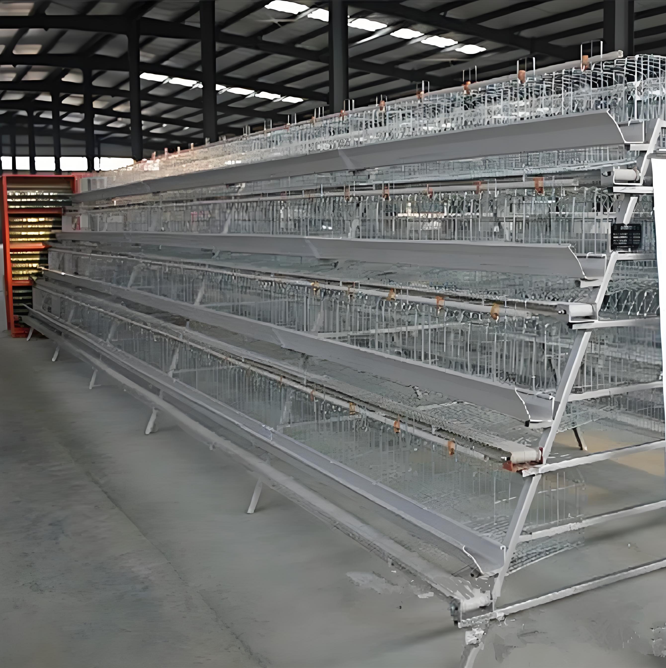 High Quality Steel StructurePoultry Farm Building